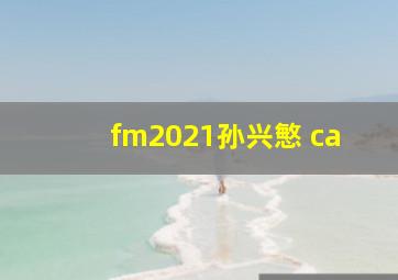 fm2021孙兴慜 ca